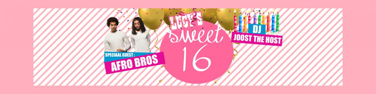 Lucy's Sweet 16 Party